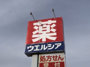長野市若穂綿内の【土地】のウエルシア長野若穂店写真(約1300m)